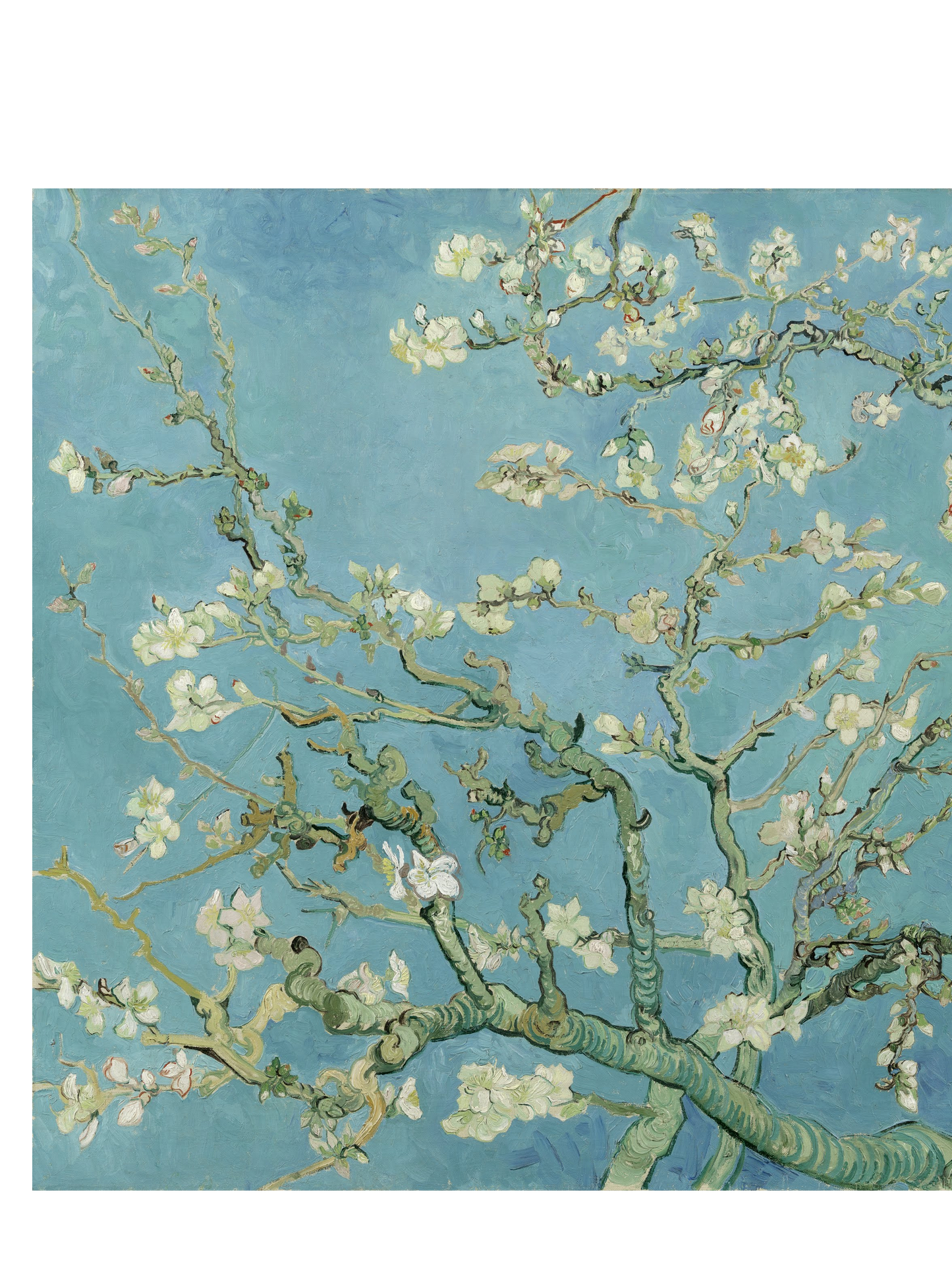 Almond-Blossoms-Cotton-Art-Tee-For-Men