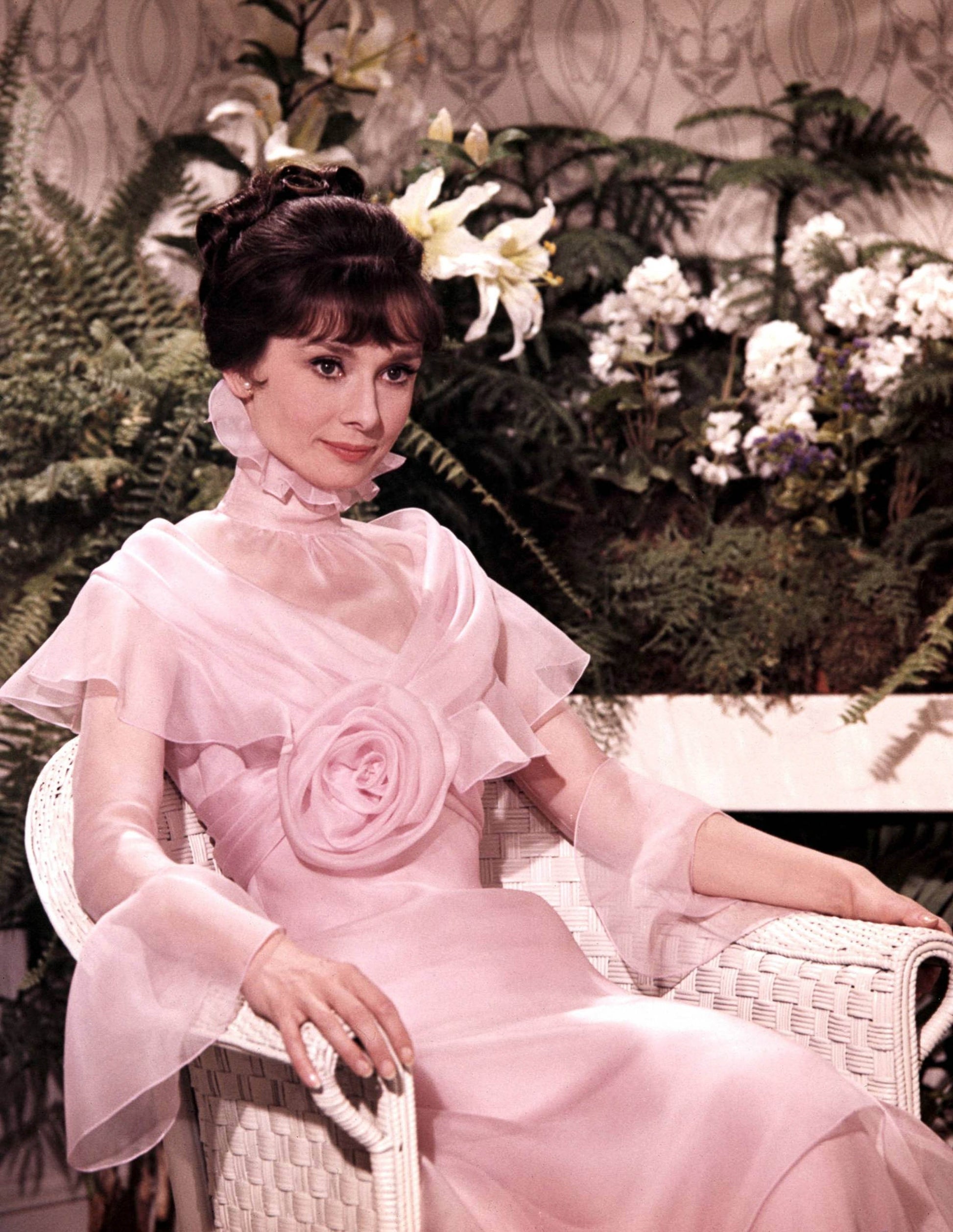 Audrey Hepburn 