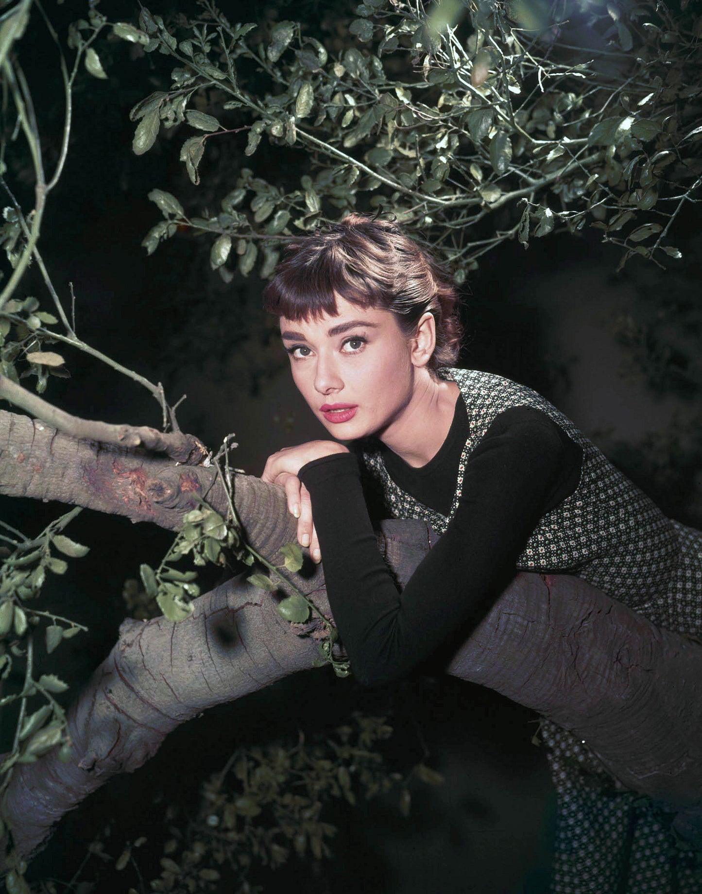 Audrey Hepburn 