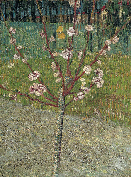 Almond Tree in Blossom, 1888