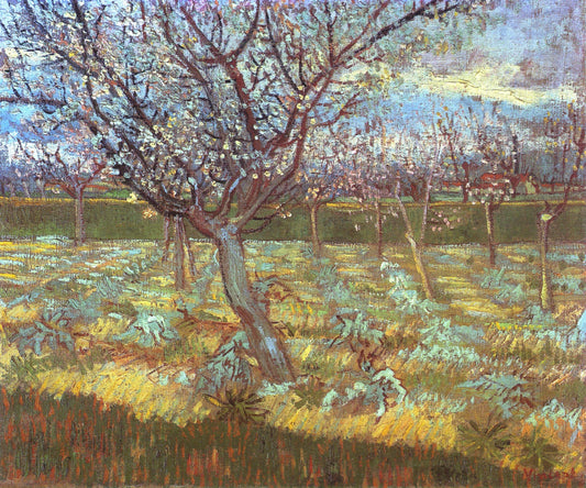 Apricot Tree in Bloom, 1888