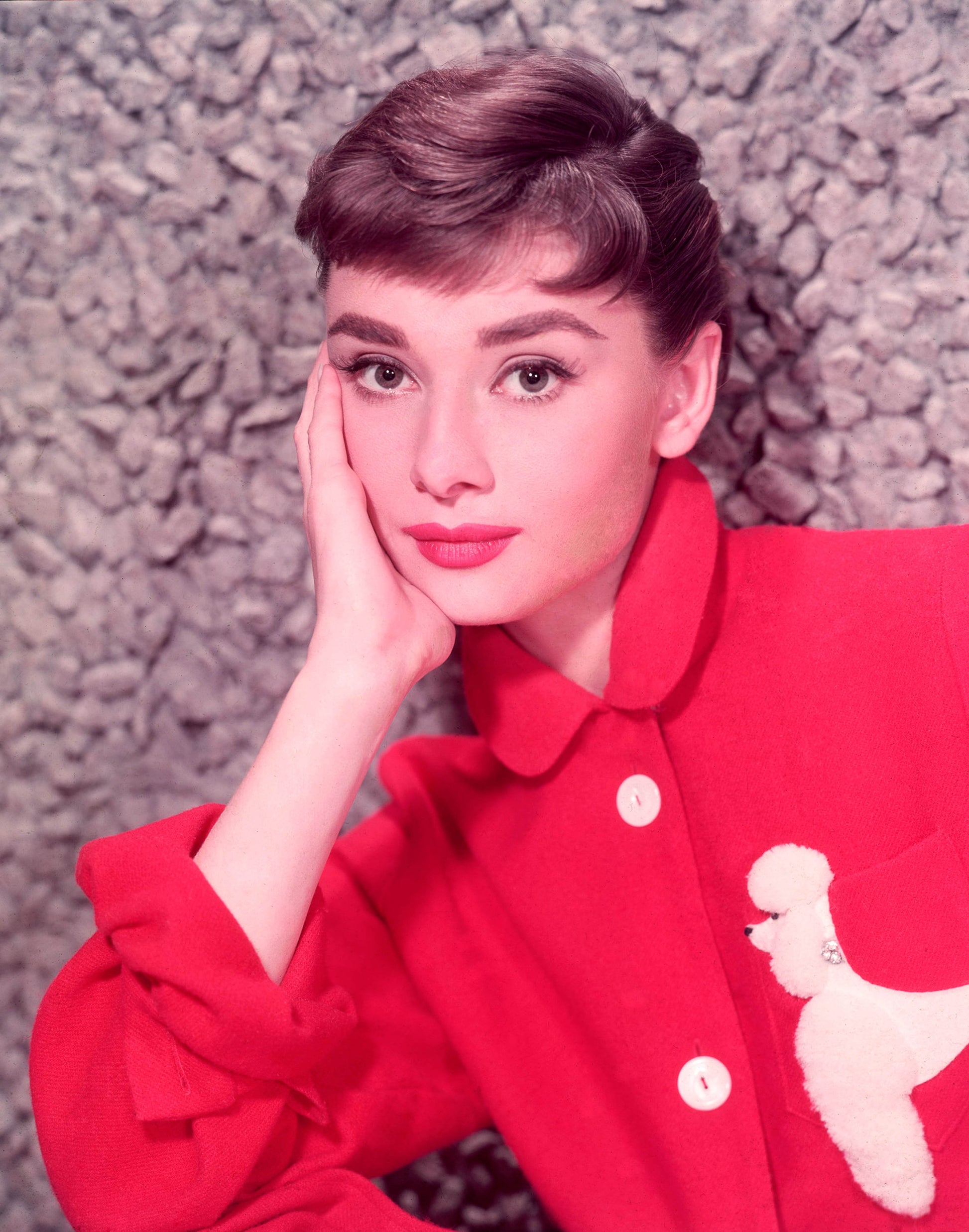 Audrey Hepburn 