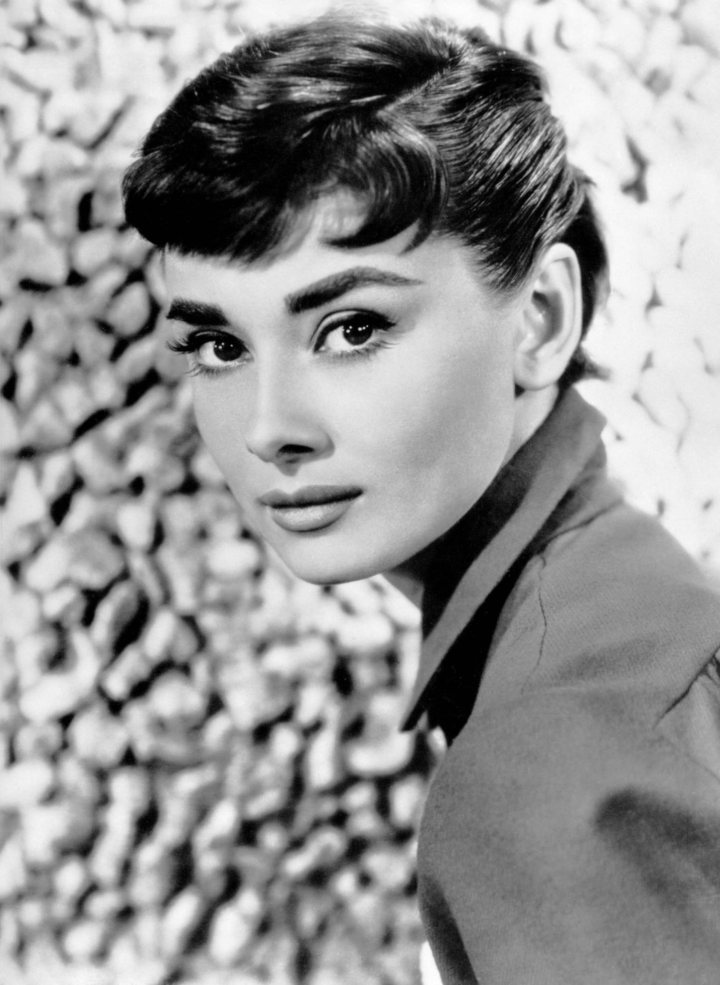 Audrey Hepburn 