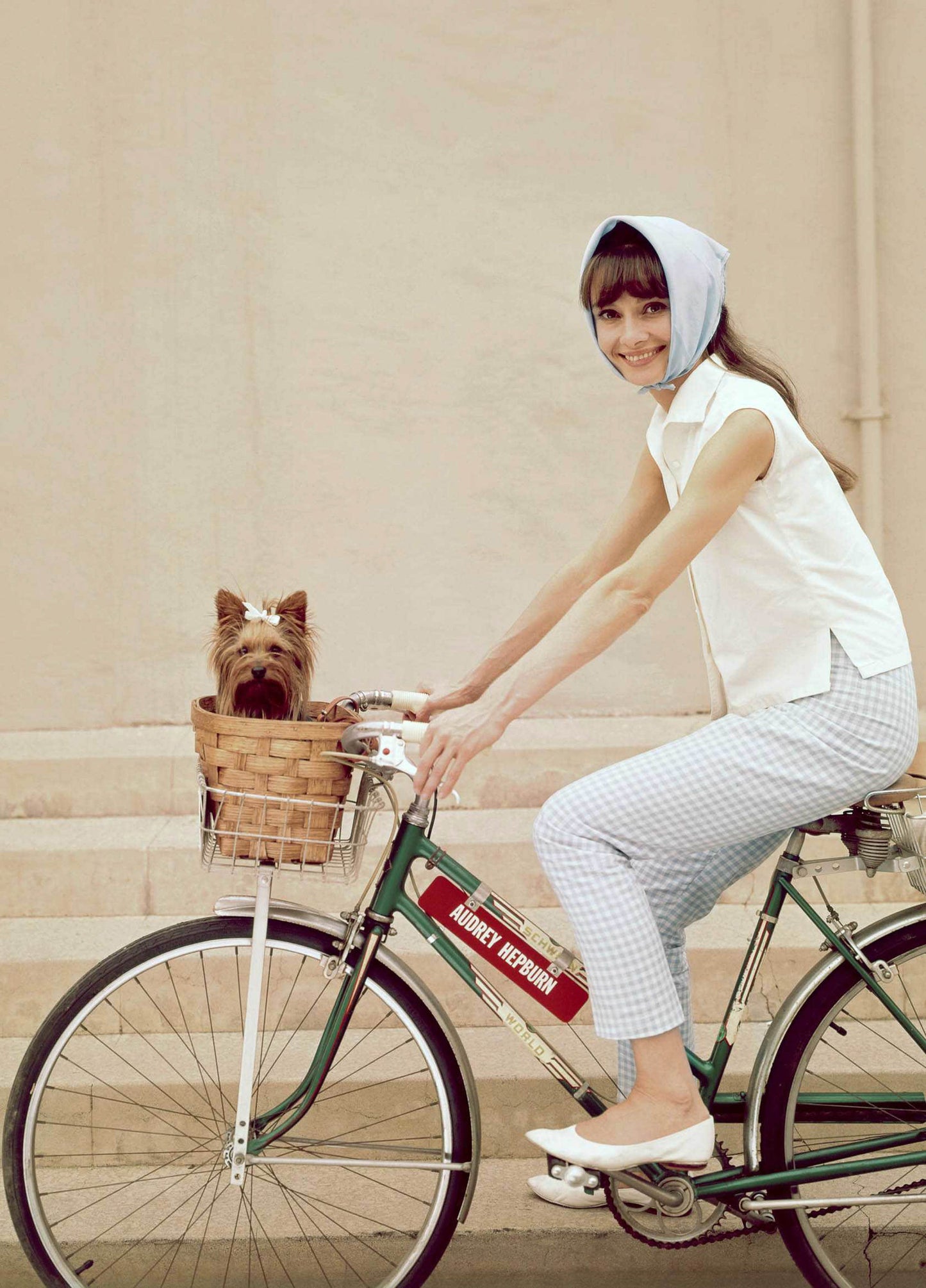 Audrey Hepburn 