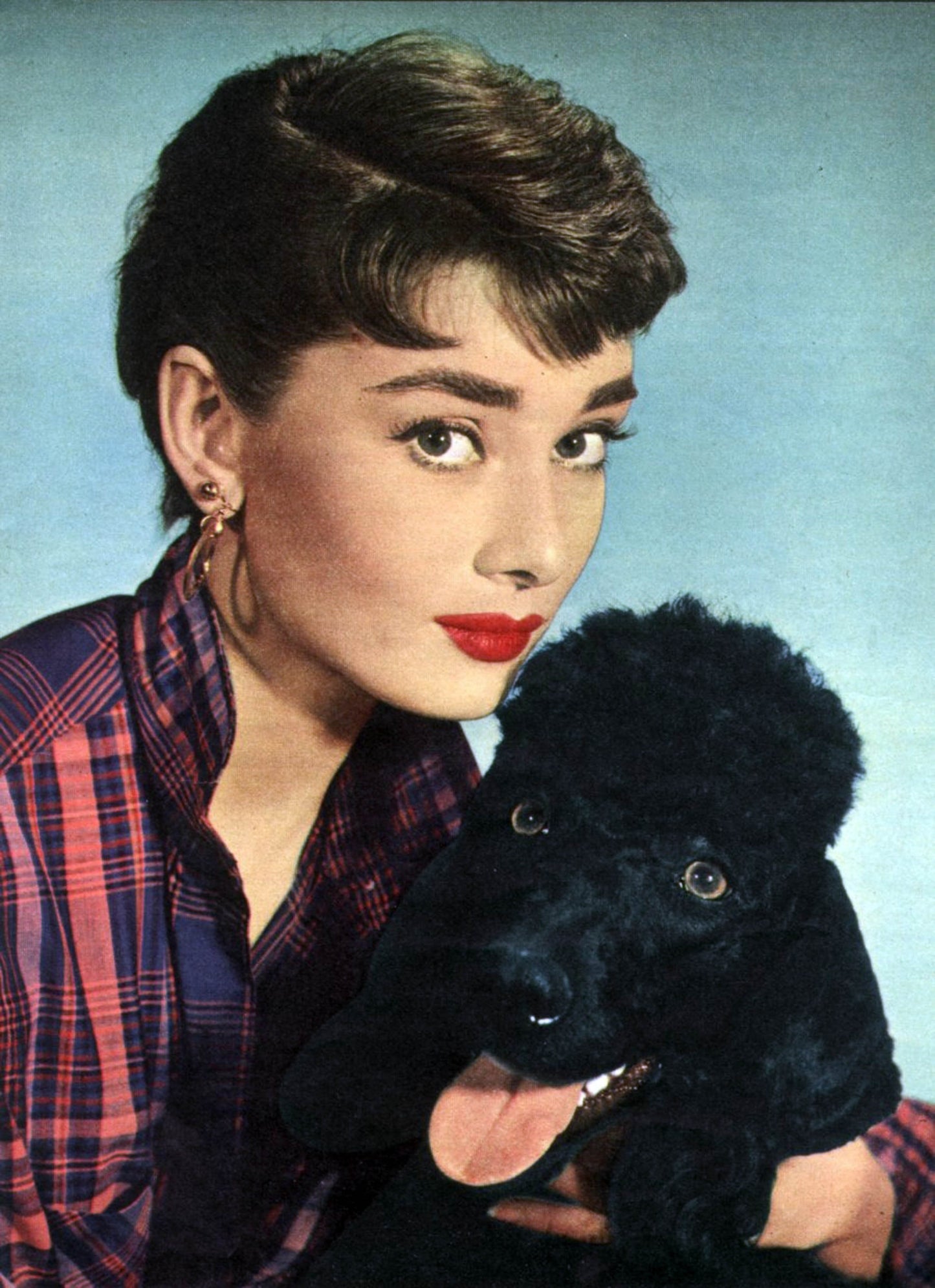 Audrey Hepburn 