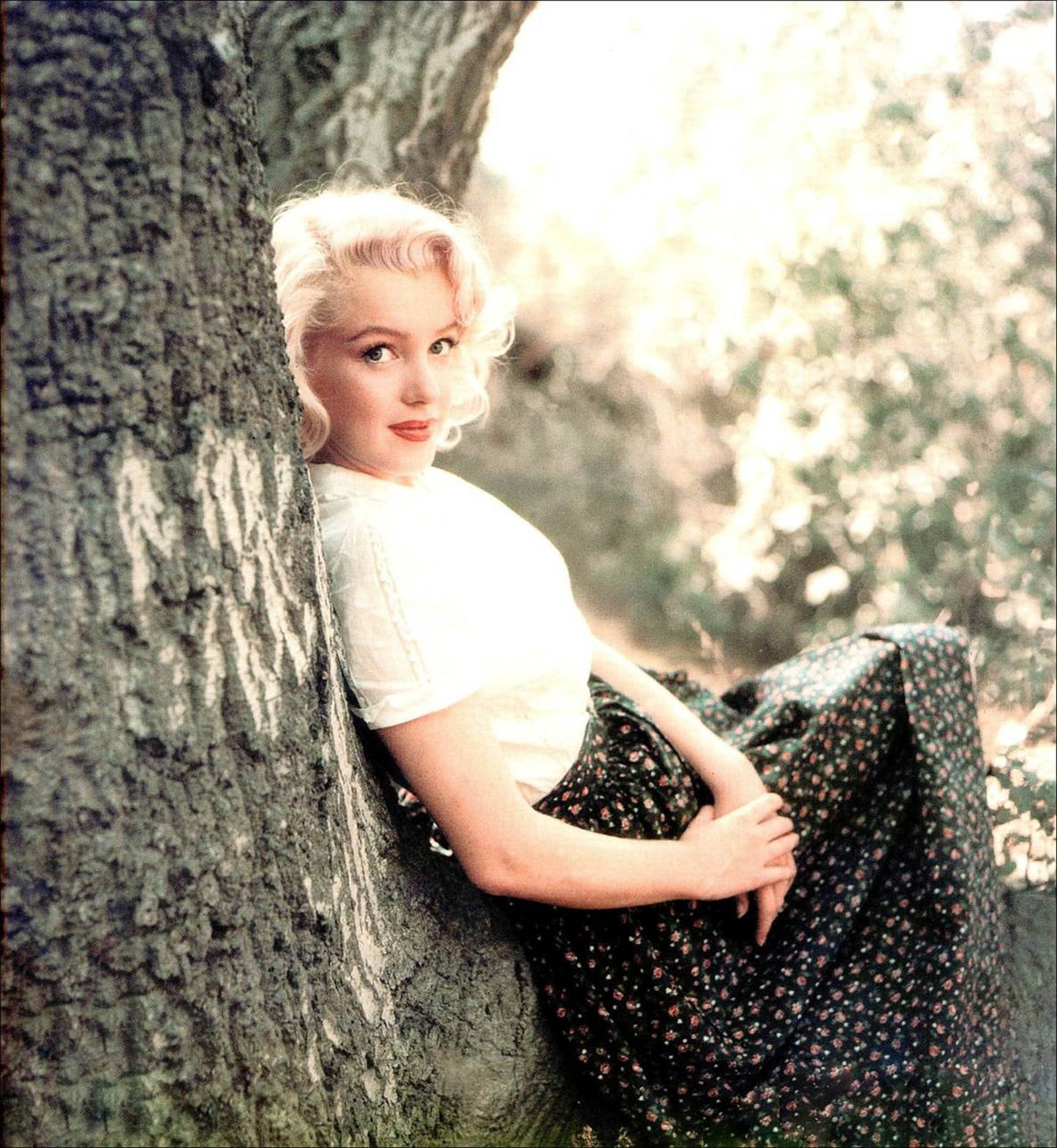 Marylin Monroe 689